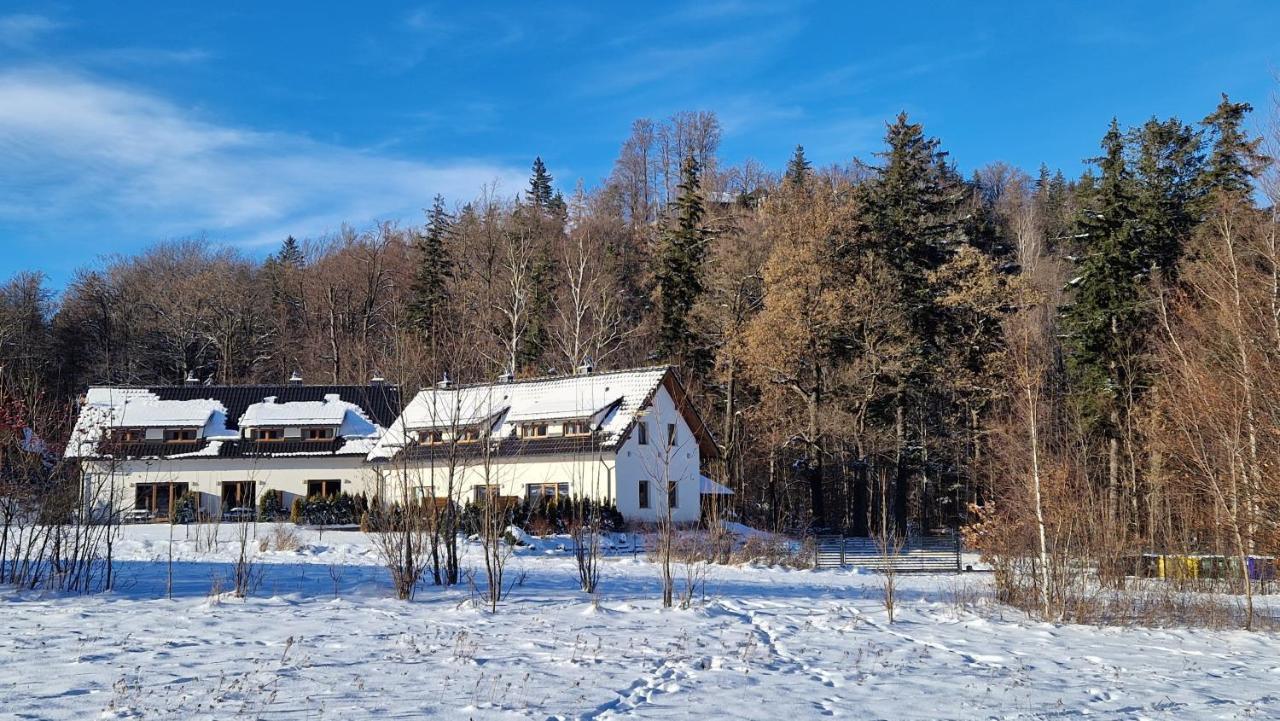 Widokowo - Domki Z Widokiem Na Sniezke Z Jacuzzi I Sauna Karpacz Kültér fotó